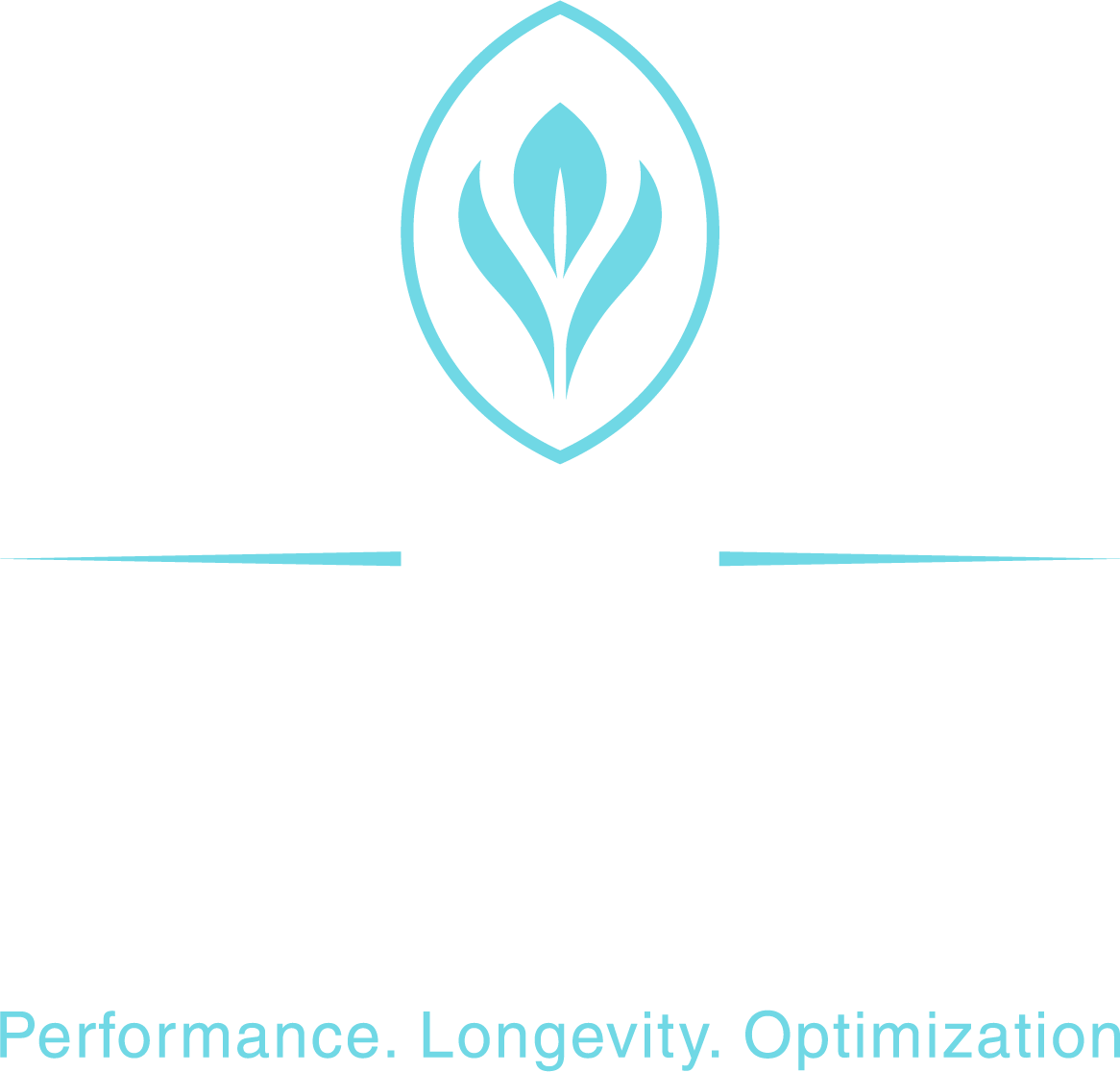 The Wellness Vault